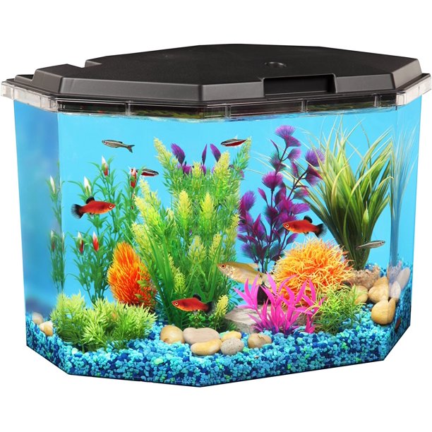 Roducts 6.5-Gallon Aquarium Kit with Power Filter and LED Lighting, (AP650)