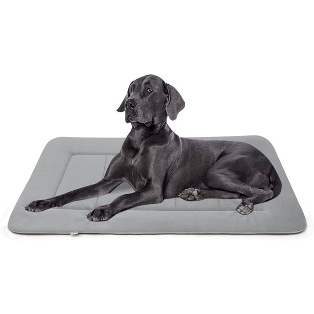 Thin hotsell dog bed